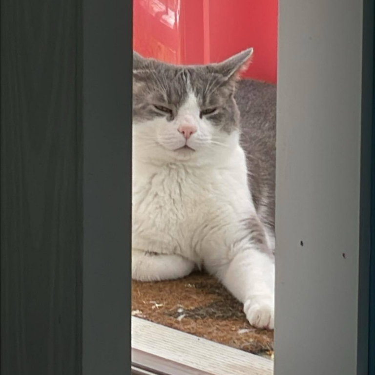 Skimpy’s Story